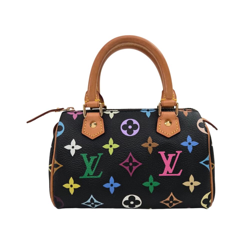 Louis Vuitton Takashi Murakami Black Multicolor Mini Speedy